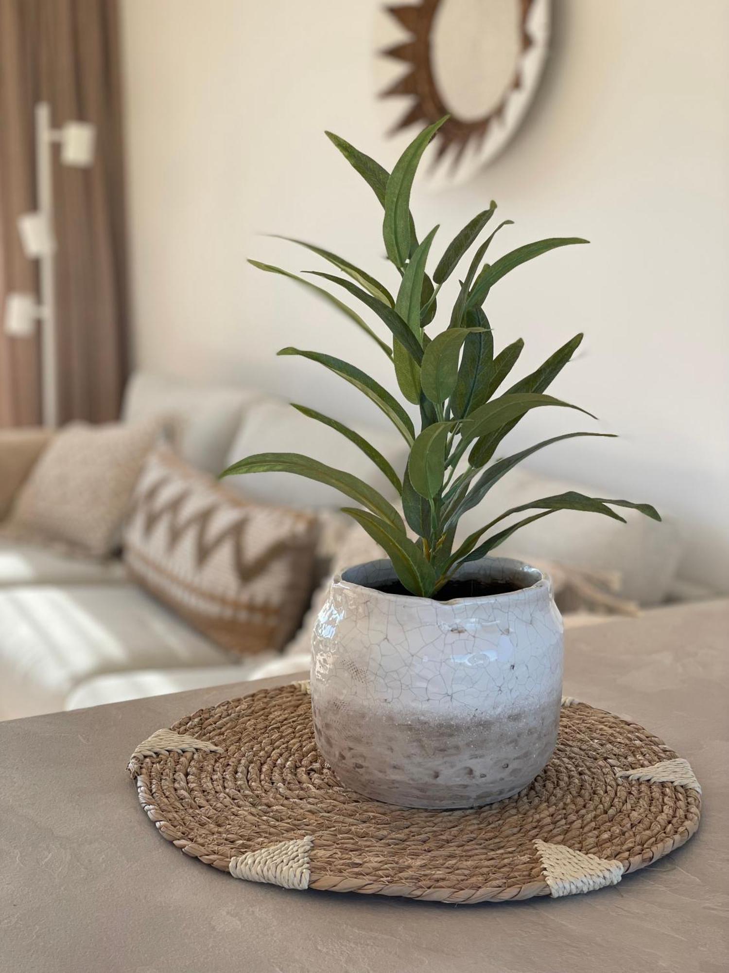 Appartementen Sonnenhof 德科赫 外观 照片